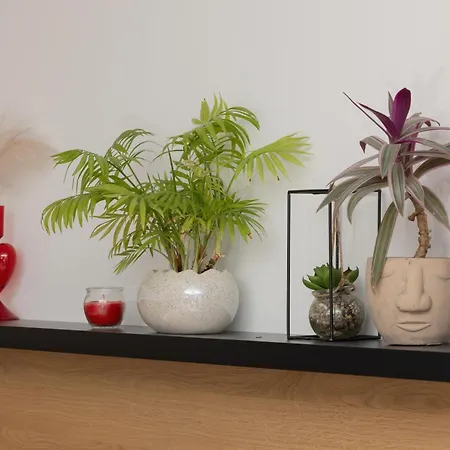 Grey - - Basen - - Parking- Taras *