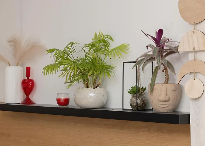 Grey - - Basen - - Parking- Taras *