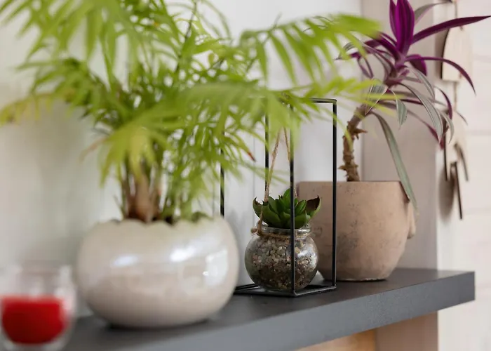 Grey - - Basen - - Parking- Taras *